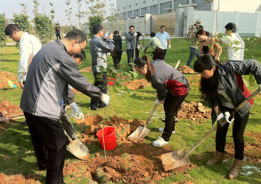我司參加東莞天安數碼城植樹活動