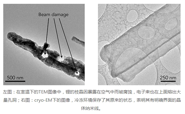 editor1527078547798129.jpg 20171030113932_0720.jpg