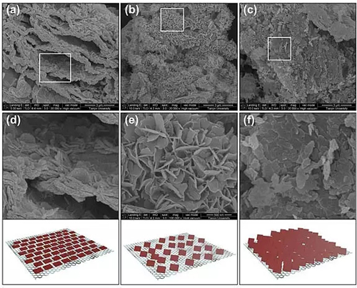 editor1531150066435102.jpg 1.jpg