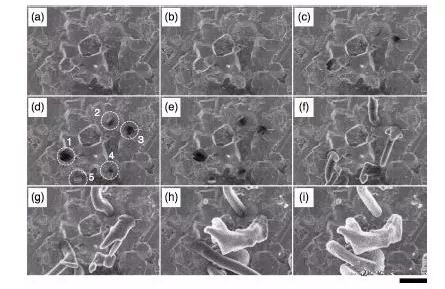 editor1531753361802902.jpg 1.jpg