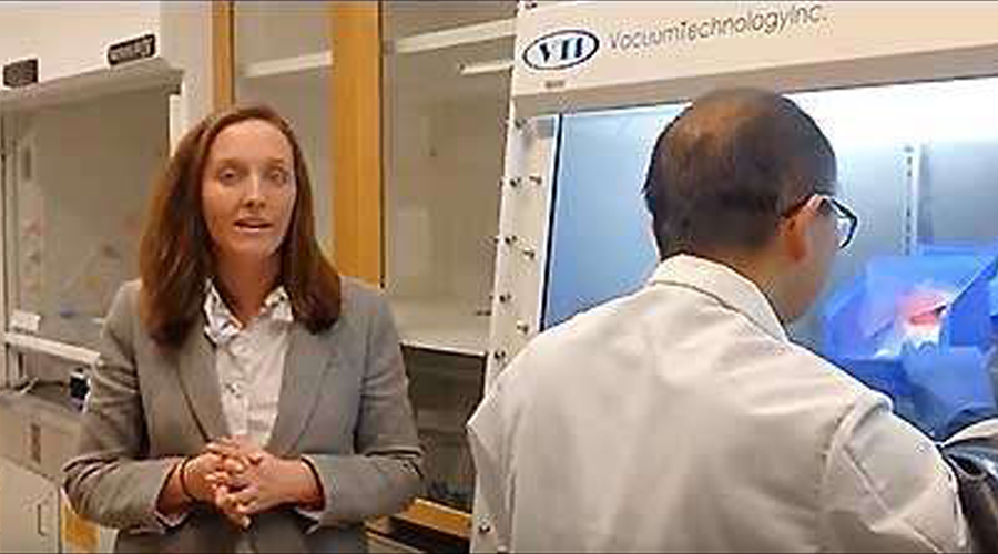 editor1532163800458115.jpg 安全的固態鋰電池預示著能量儲存的“范式轉變”.jpg