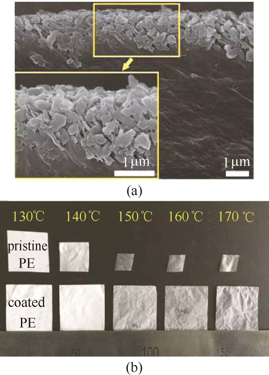 editor1532504347348047.jpg 1.jpg