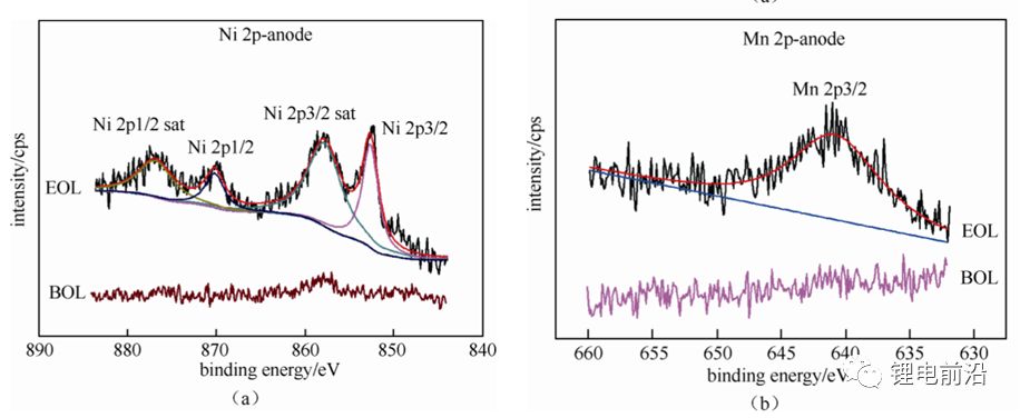 editor1559271606624732.jpg 5.jpg